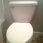 Toilet Repair in Elyria Ohio | Elyria Leaky Toilet