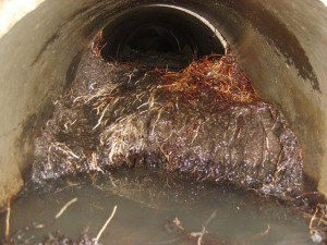 Sewer Clearing plumber | Drain clogged