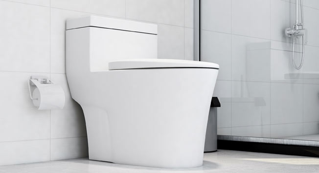 Toilet Repair in Avon